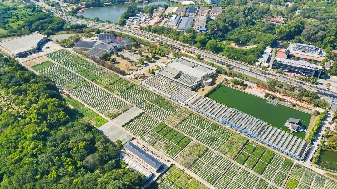 亮點來襲！第二十三屆廣東種業博覽會不容錯過！